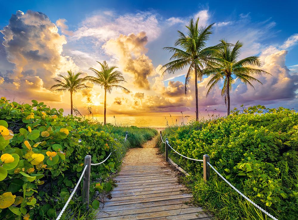 Puzzle Kolorowy wschód słońca w Miami, USA