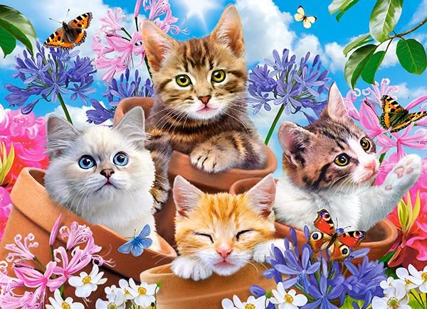 Puzzle Koťata s květinami 70 dílků