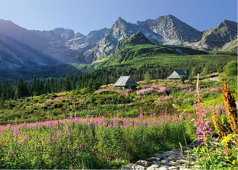 Puzzle Gąsienicowa dolina, Hohe Tatra