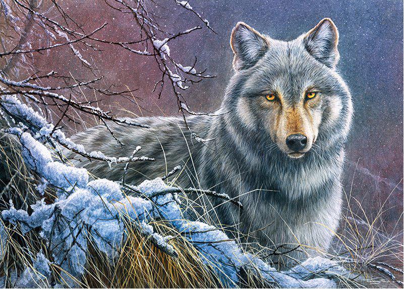 Puzzle Sivý vlk
