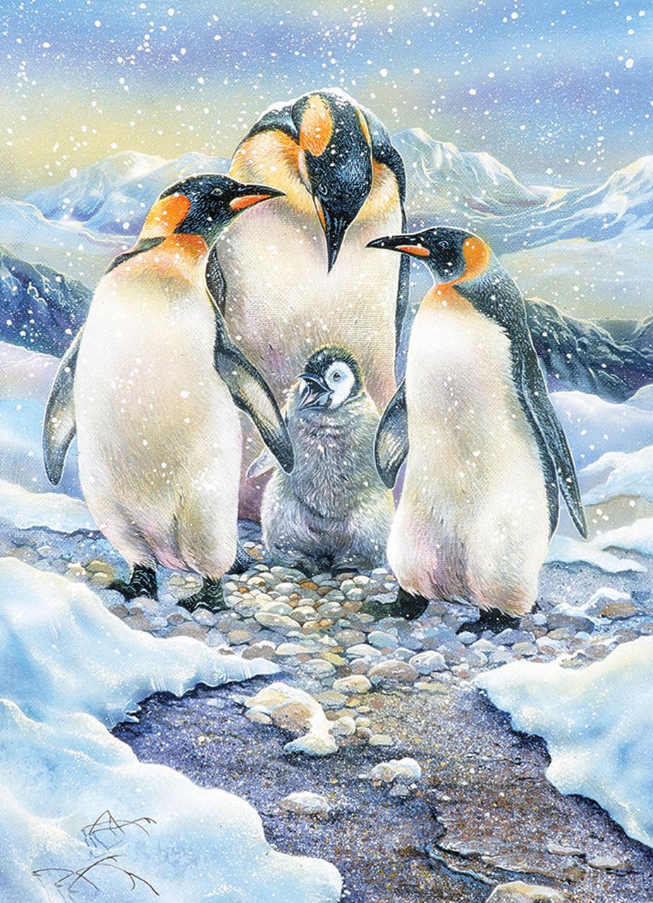 Puzzle Rompecabezas familiar: familia de pingüinos 350