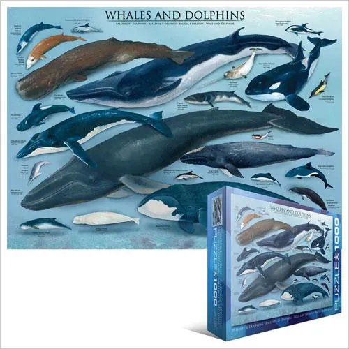 Puzzle Dolphins and Whales