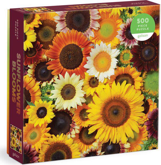 Sunflower Blooms 500