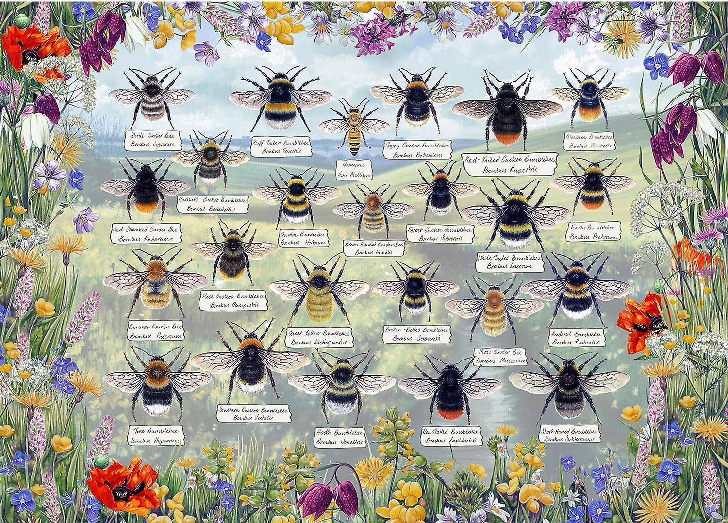 Puzzle  Brilliant Bees 1000