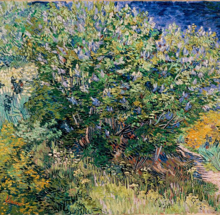 Vincent Van Gogh - Lilacs, 1889