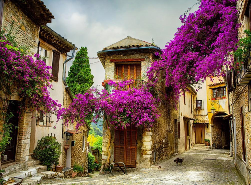 Puzzle Provence, Francúzsko