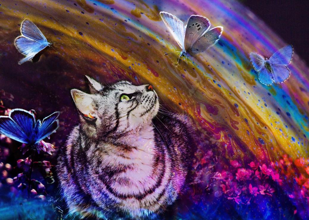 Puzzle Cat and Butterflies