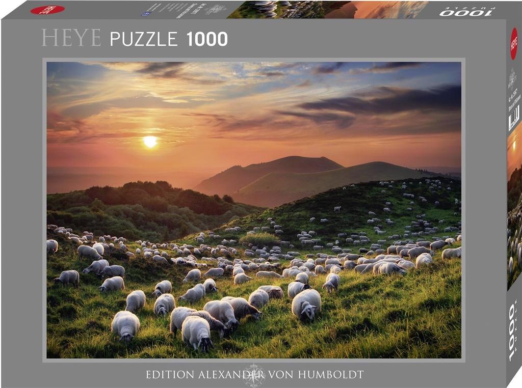 Puzzle Humboldt : moutons et volcans