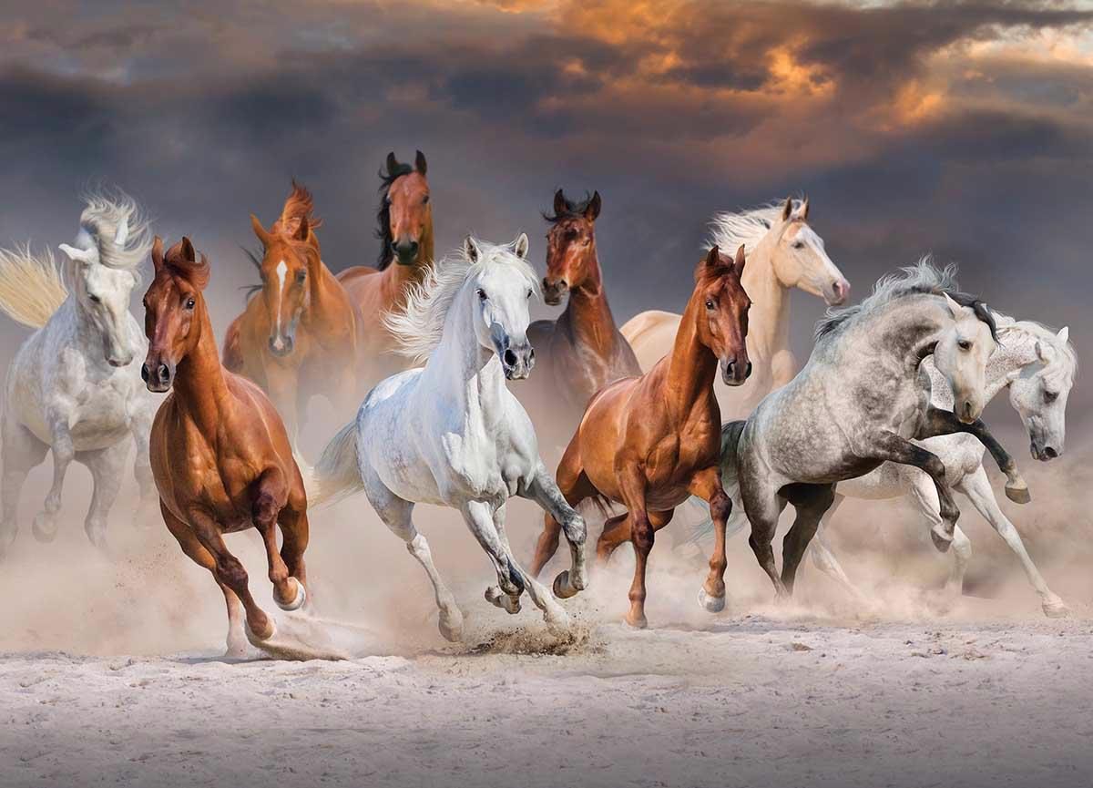 Puzzle Desert Horses 1000