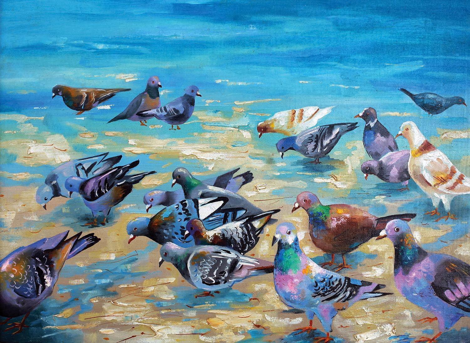Beach Pigeons
