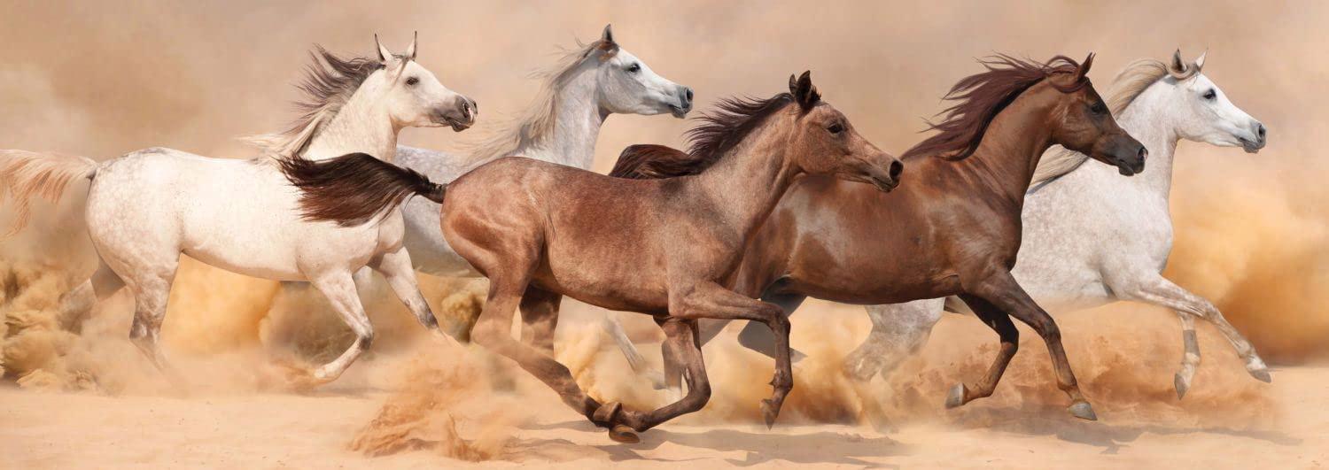 Horses Running in Sandstorm