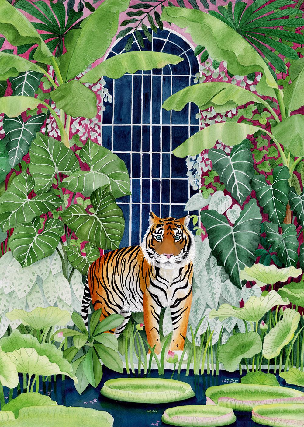 Puzzle Üvegházi tigris