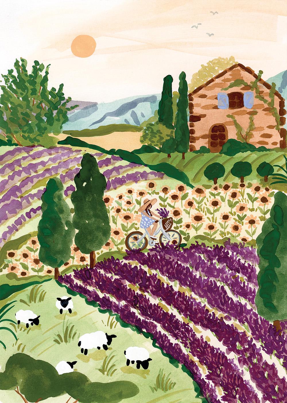 Puzzle Provence 2000