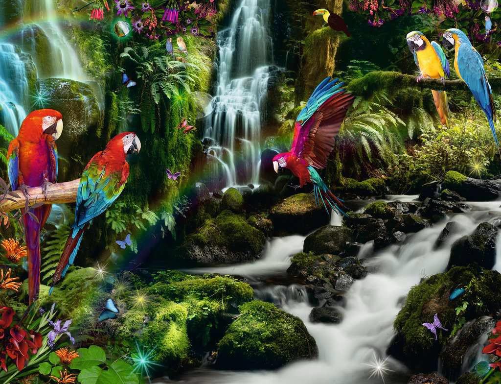 Puzzle Parrots in the jungle