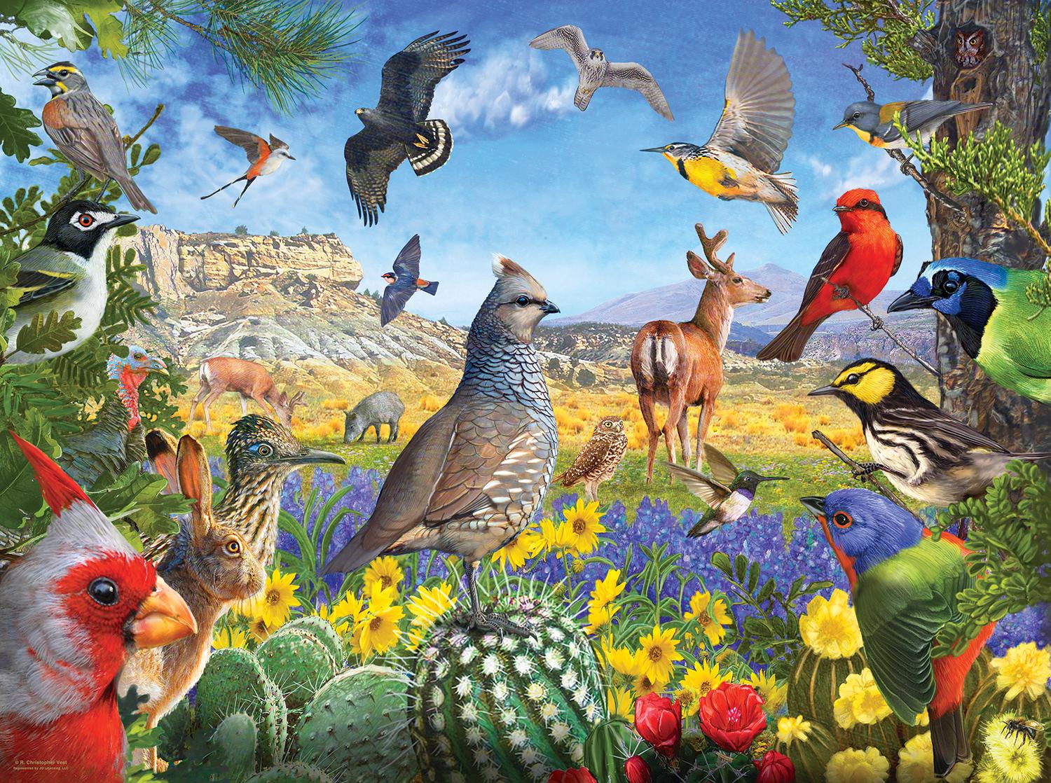 Puzzle Chaleco - Texas Birds 1000