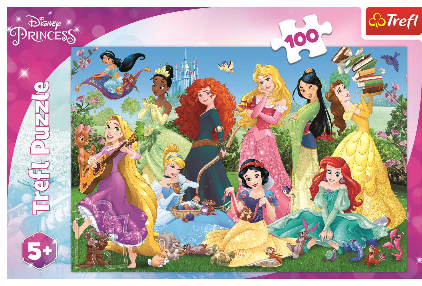 Puzzle Charmerende prinsesser
