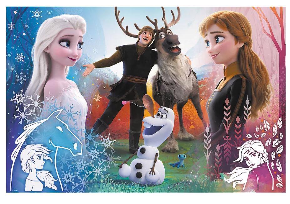 Puzzle Frozen, ľadové království 300