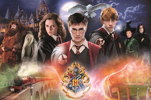 Puzzle Mysterious Harry Potter 300