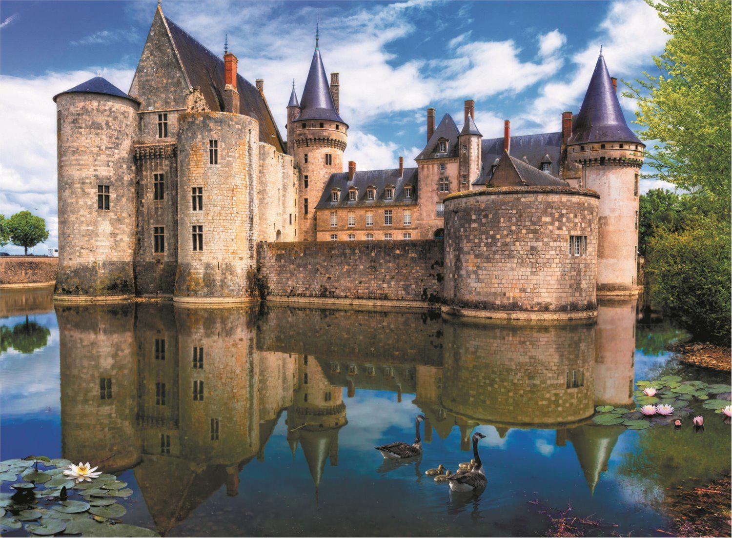 Poškodený obal Sully-sur-Loire Castle, France II