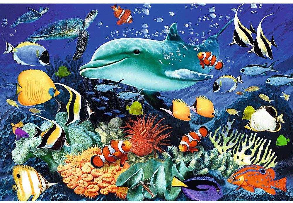 Puzzle Marine reef life wooden