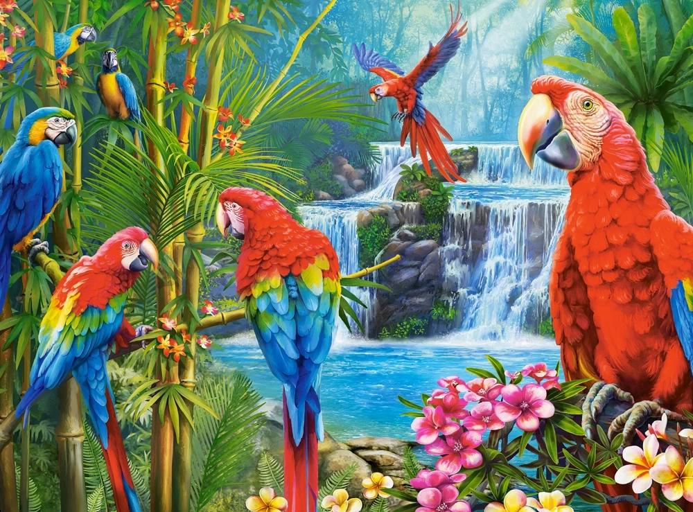 Puzzle Stretnutie s papagájmi