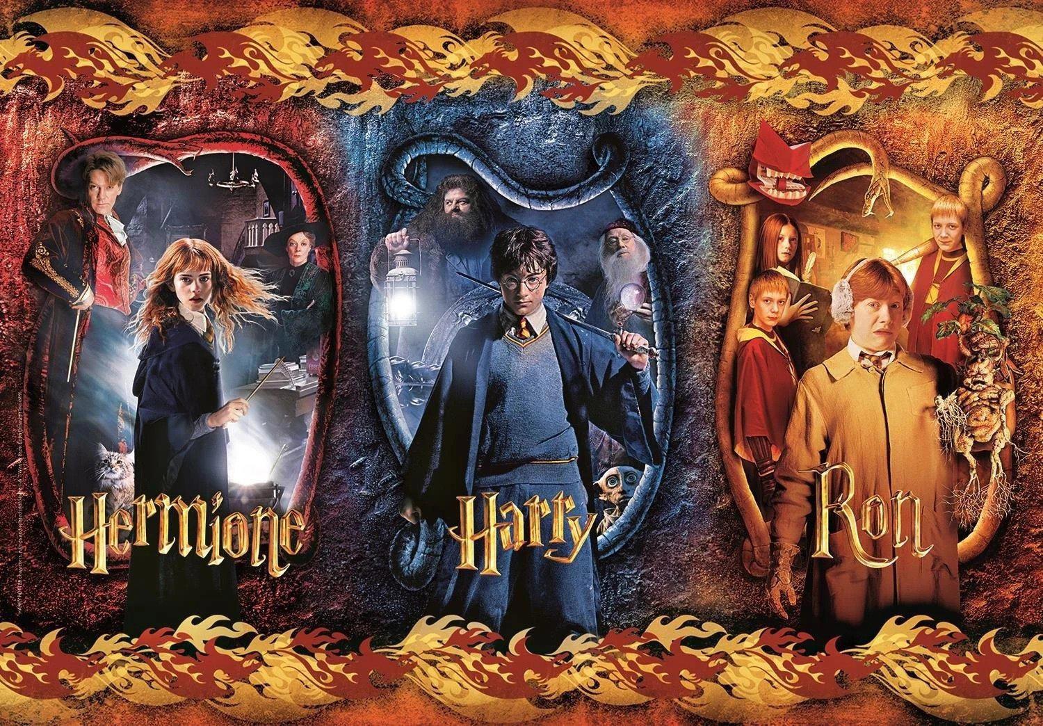 Puzzle Harry Potter, Hermiona i Ron