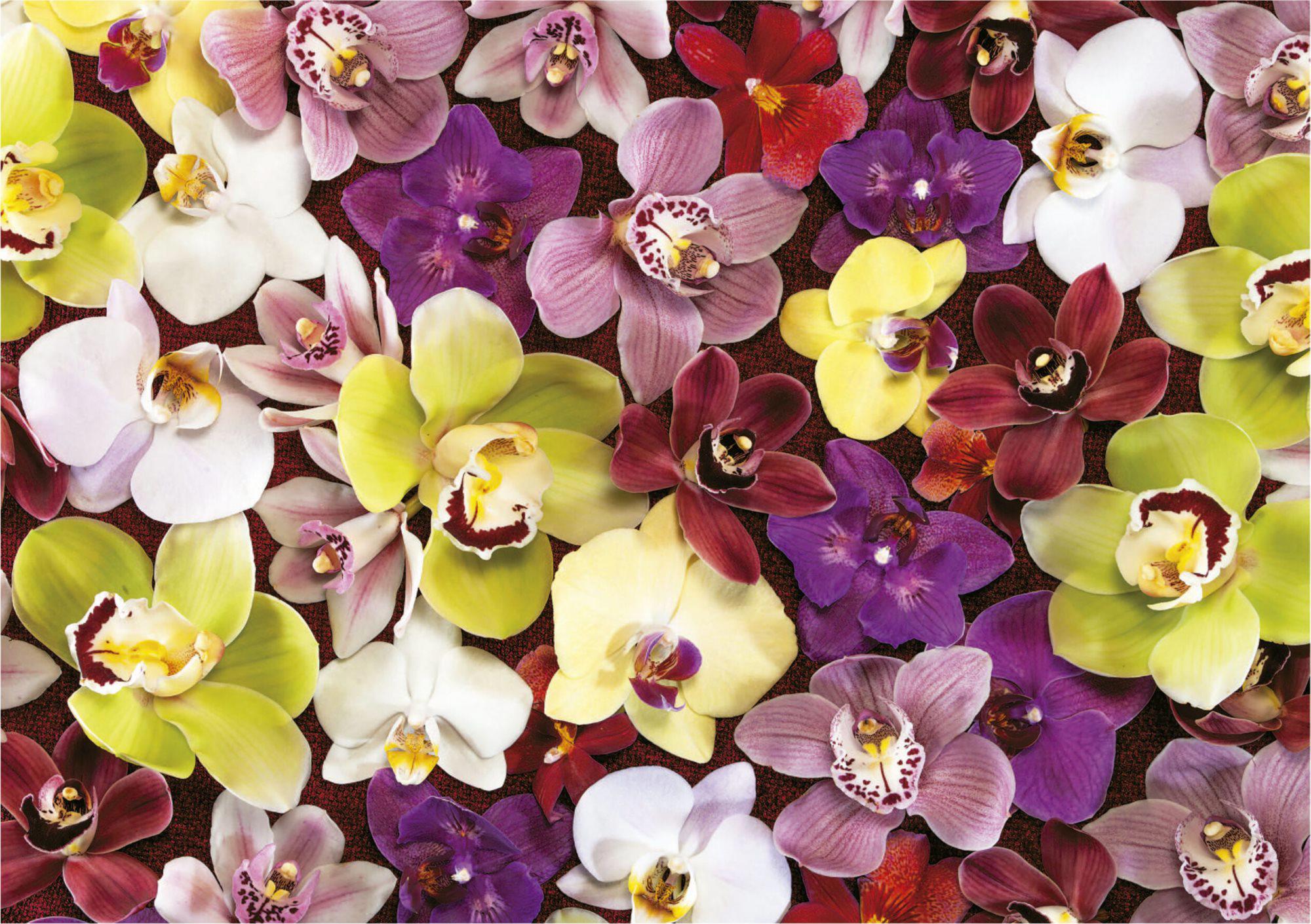 Puzzle Orchid Collage