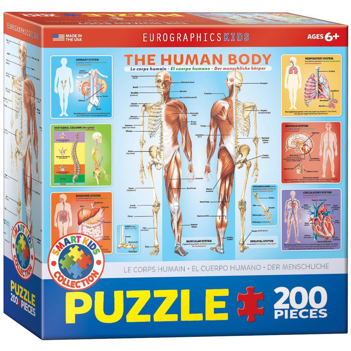 Puzzle The Human Body 200