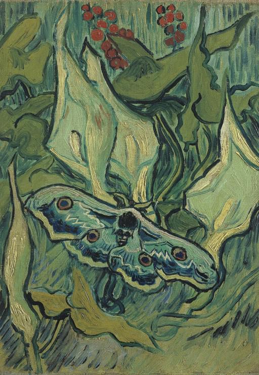 Puzzle Vincent van Gogh: Obrovský paví mor