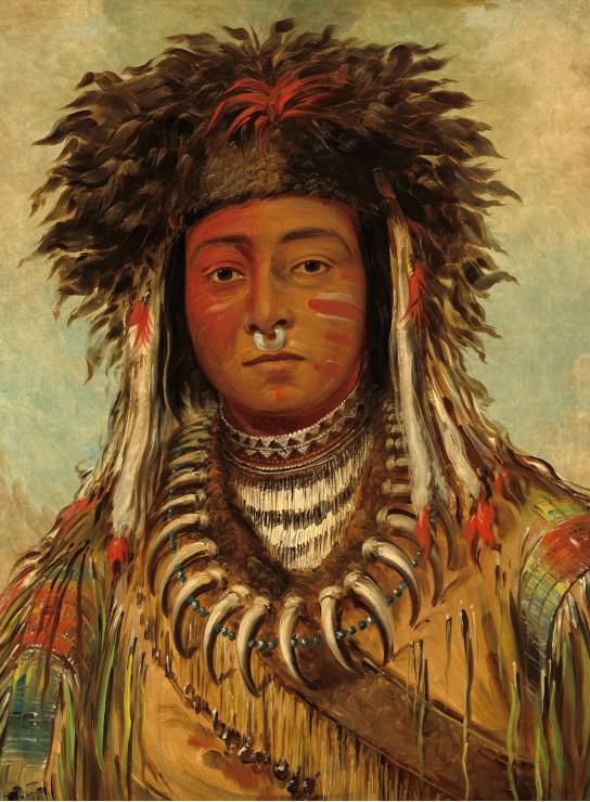Catlin: Boy Chief - Ojibbeway
