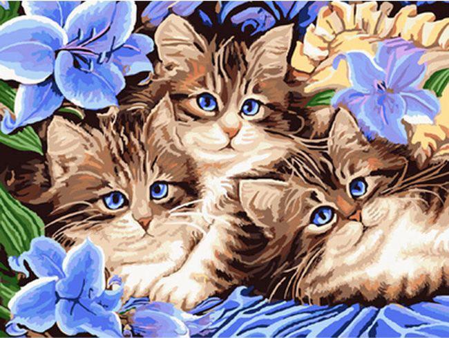Puzzle Diamantový obraz: Tri mačiatka v kvetoch 30x40cm