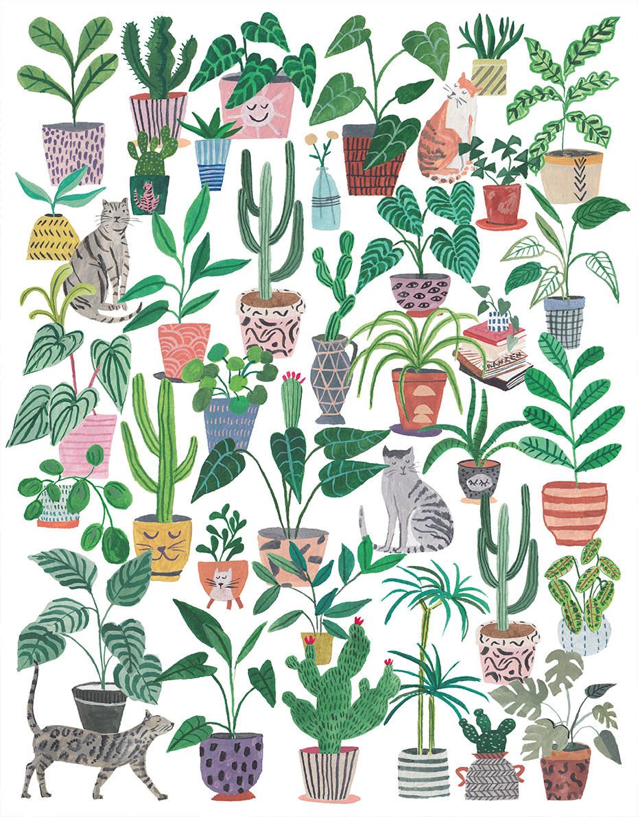 Puzzle Koty i rośliny