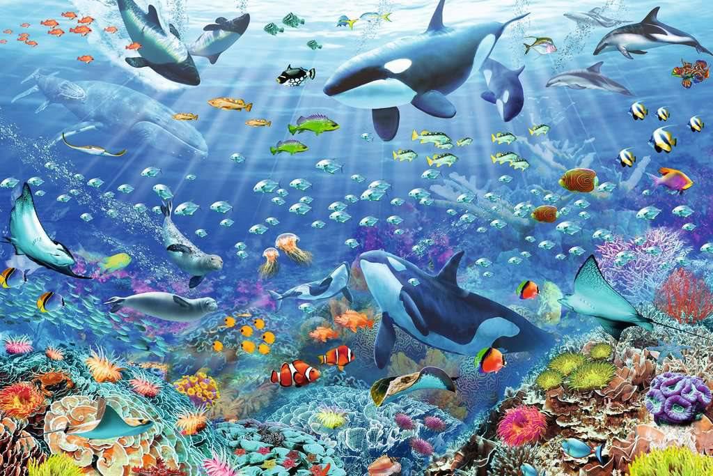 Puzzle Farebný podmorský svet