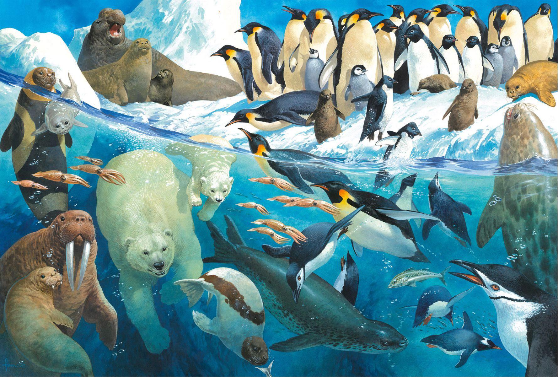 Puzzle Animals of the Polar Regions 100