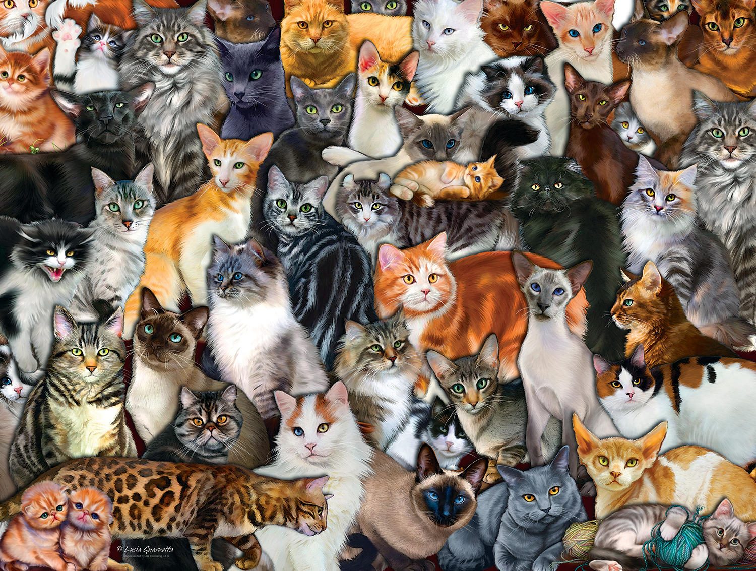 Puzzle Cat Collage 300XXL