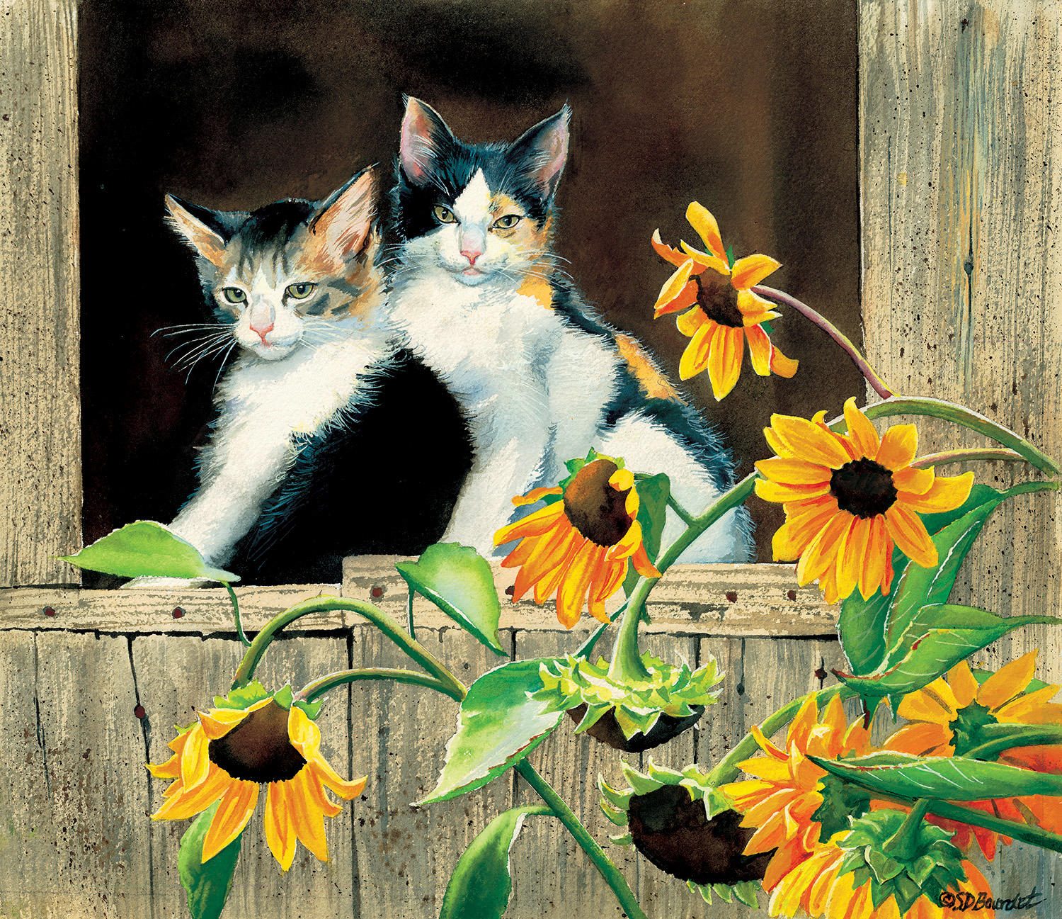 Puzzle Bourdet - Kittens and Sunflowers