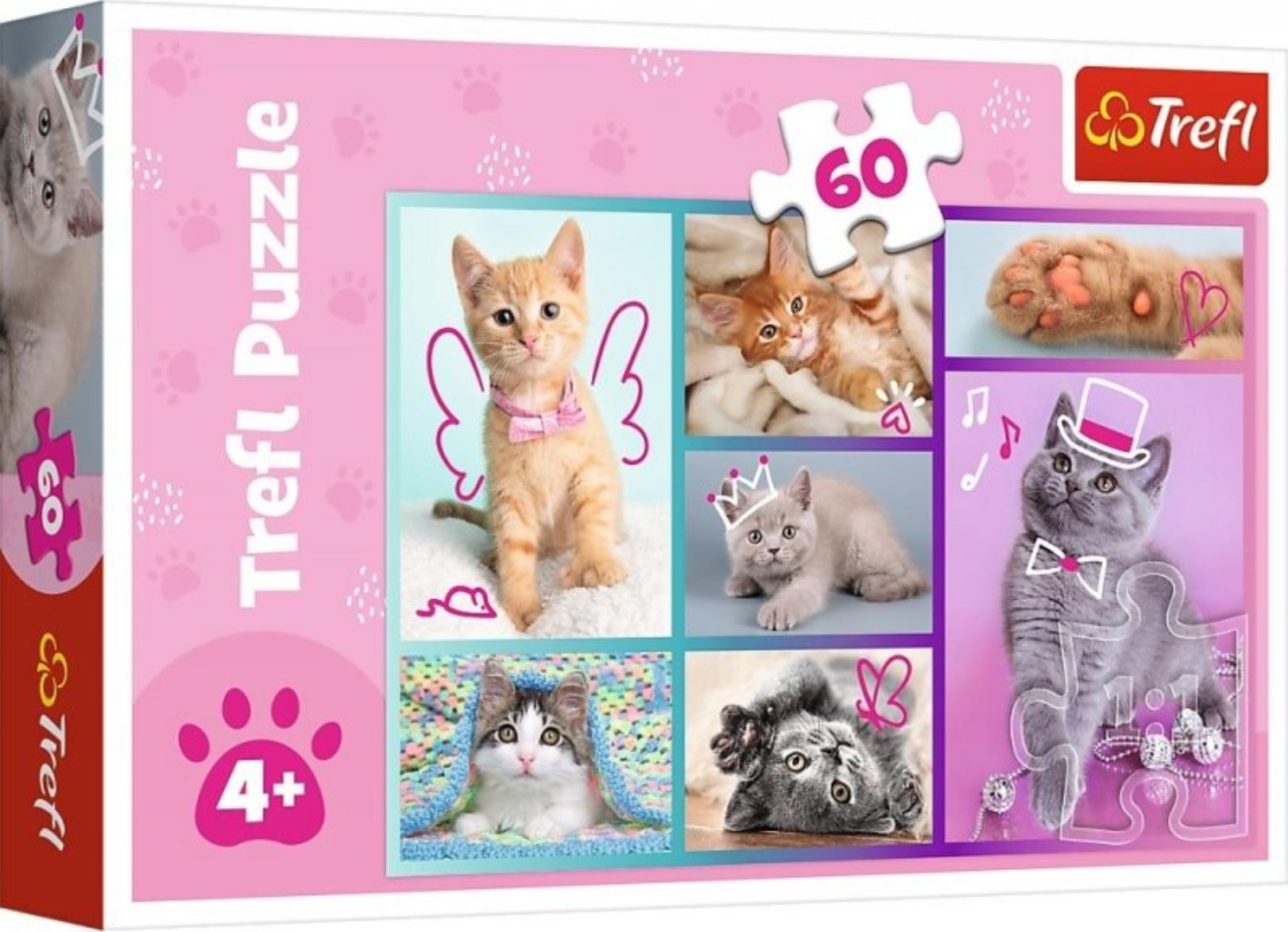 Puzzle Roztomilé kočky 60 dílků