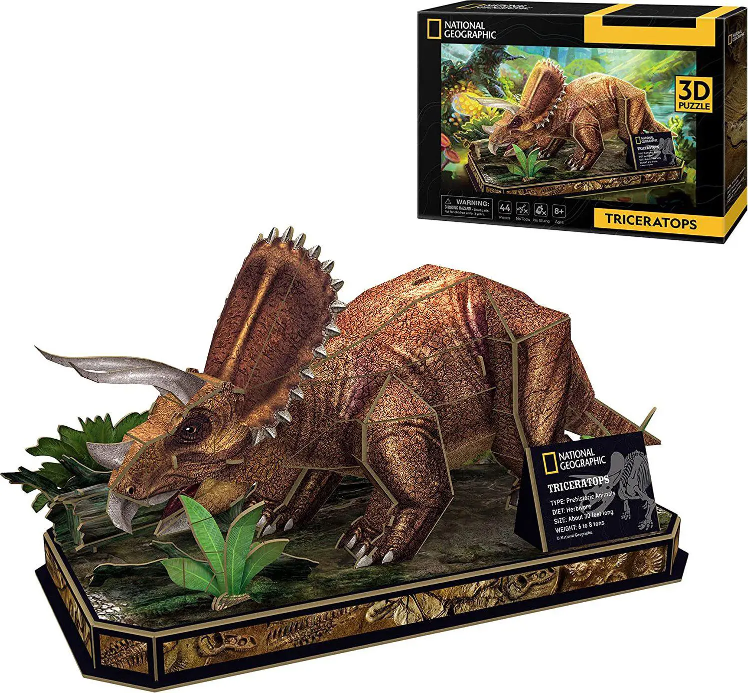 Triceratops 3D