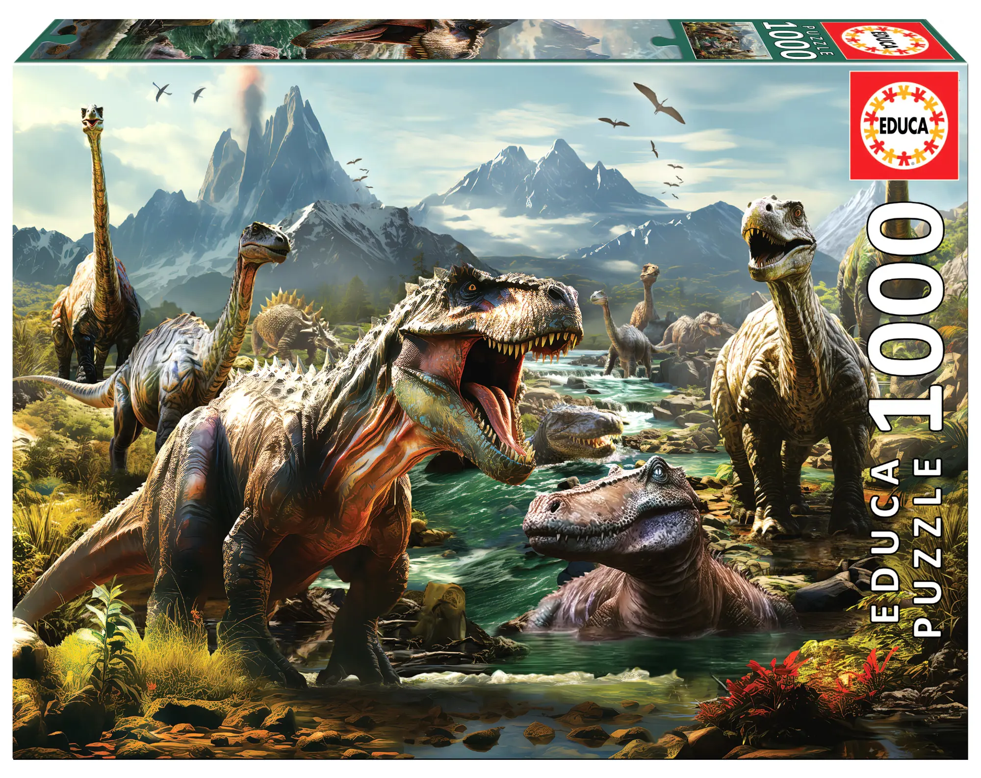 puzzle-educa-1000-pieces-