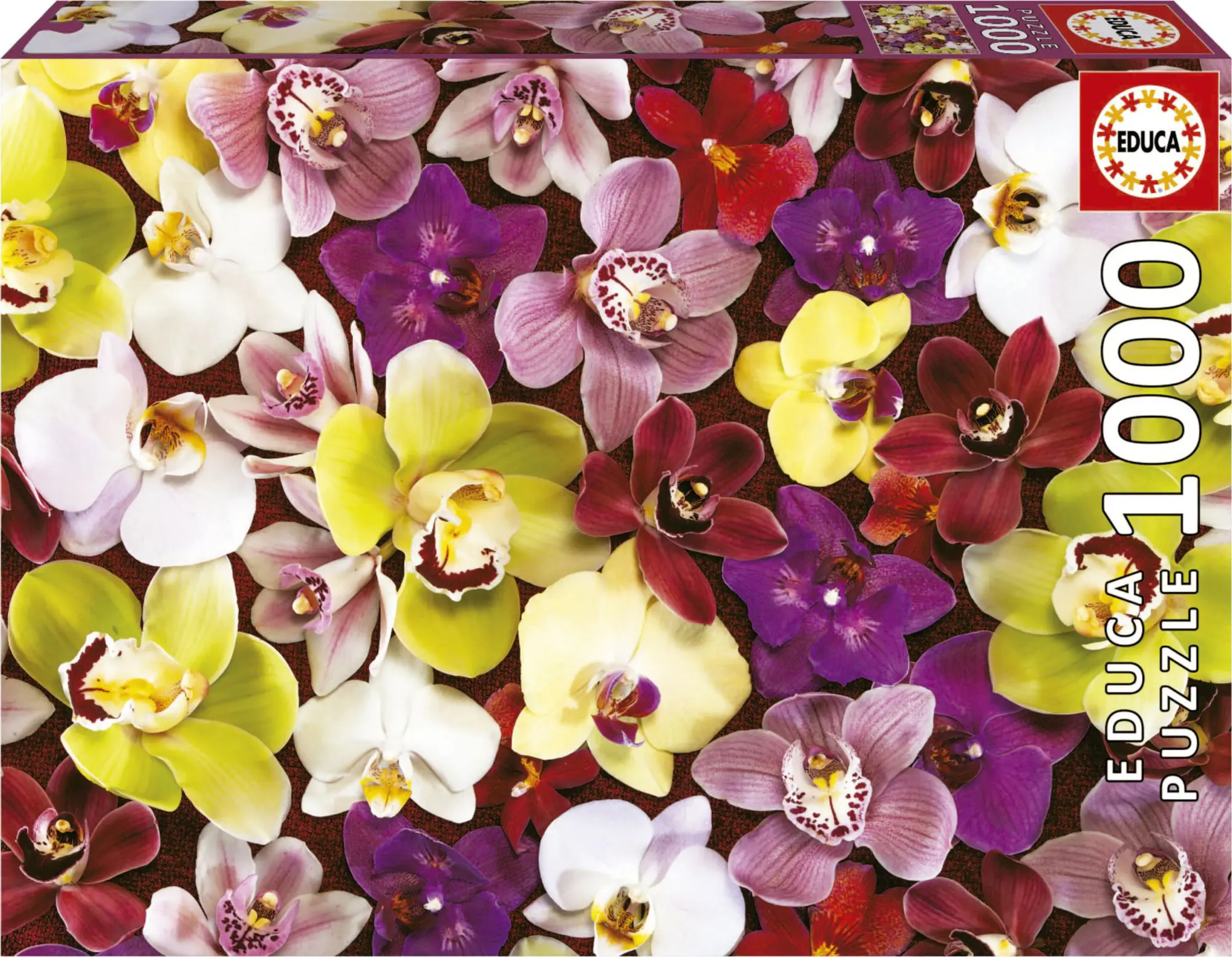 puzzle-educa-1000-pieces-