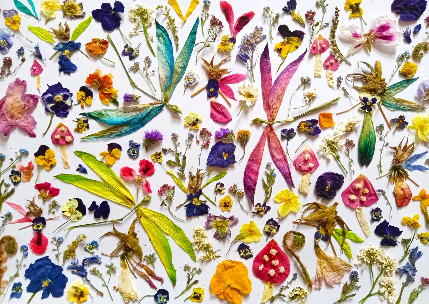 Puzzle Fairies and Dragonflies