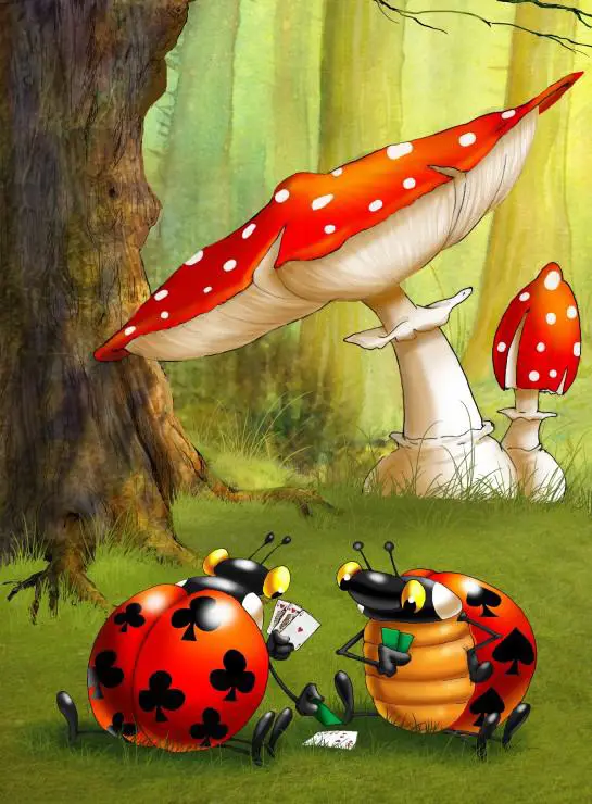 Puzzle Ruyer - Poker