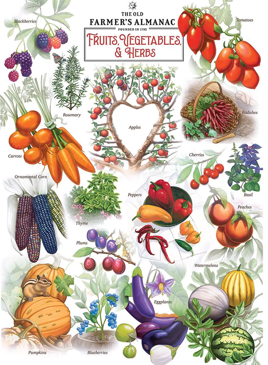 Puzzle Ovocie a zelenina