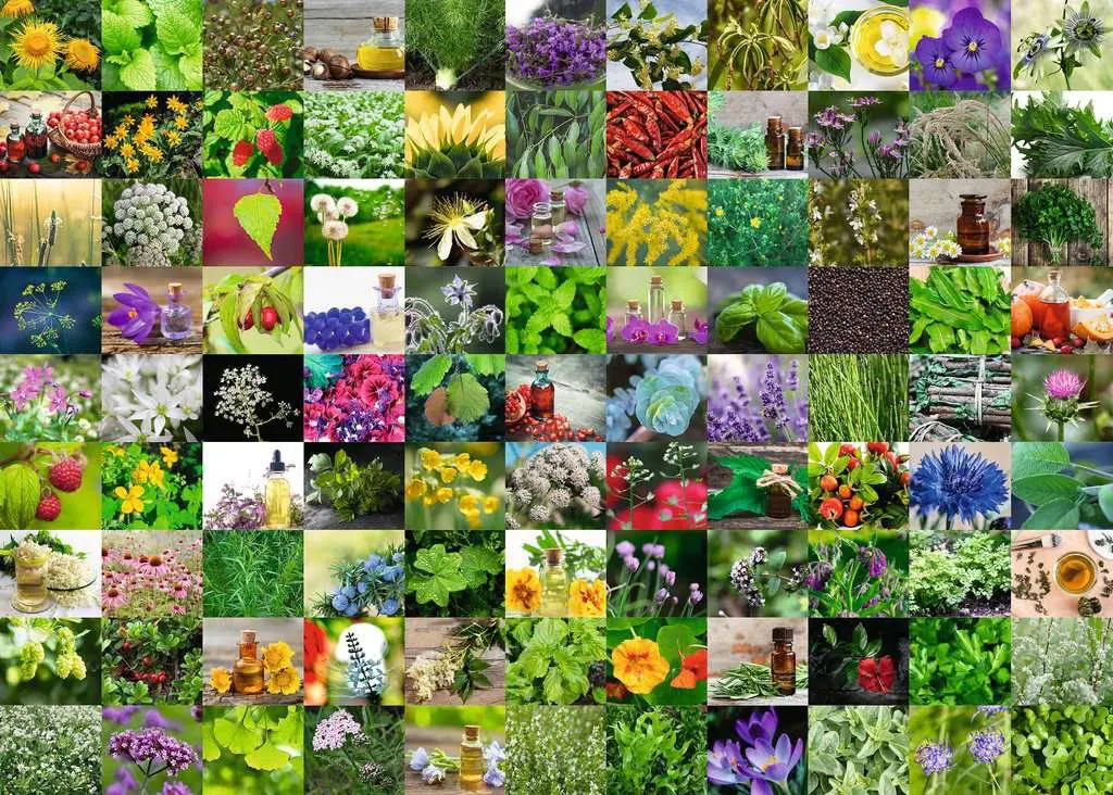 Puzzle 99 Herbs and Spices