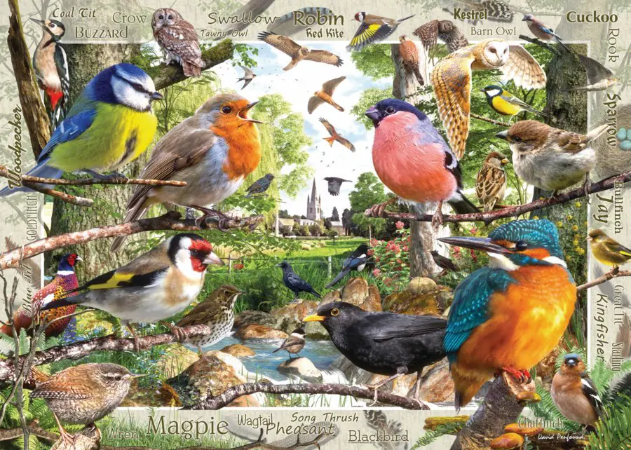 Puzzle Prietenii noștri cu pene