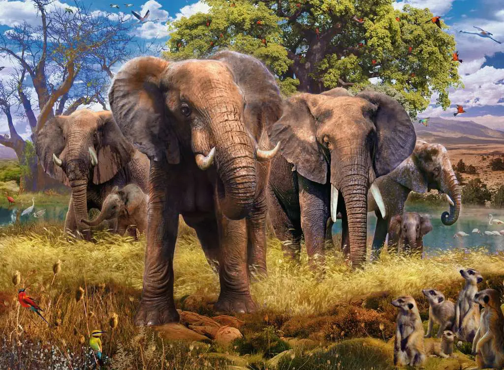 Elephant Family Elephant Family