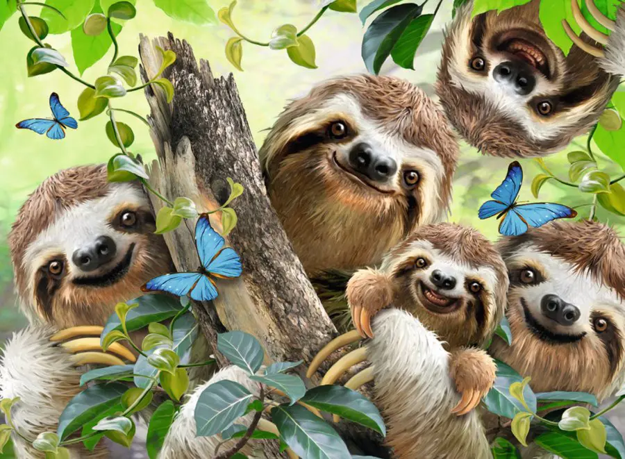 Puzzle Sloth Selfie