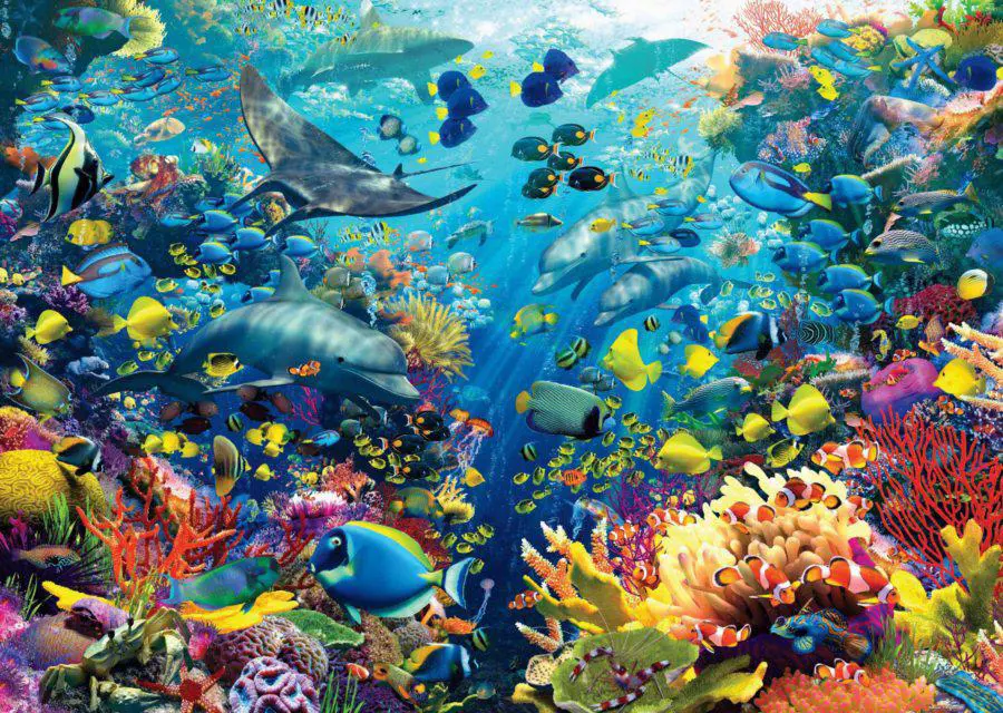 Puzzle Underwater paradise 2
