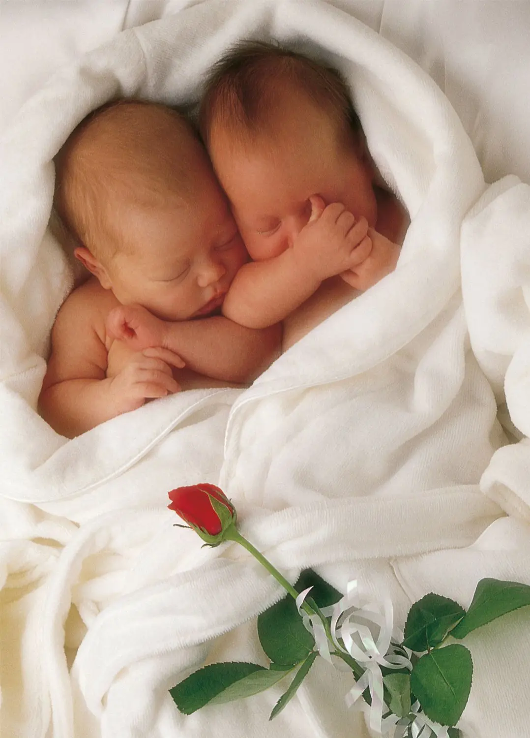 Puzzle Anne Geddes: Milly and Natalie