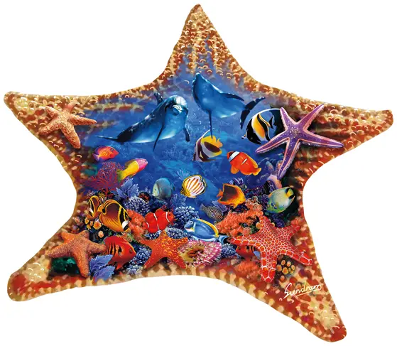 Puzzle Steve Sundram: Hviezdica